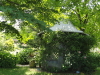 img0029.jpg