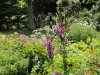 img0033.jpg