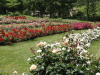 img0043.jpg