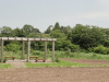 img0062.jpg