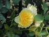 img0066.jpg