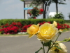 img0067.jpg