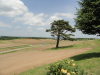 img0071.jpg