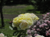 img0075.jpg