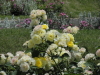 img0076.jpg