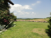 img0080.jpg