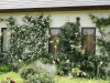 img0085.jpg