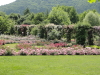 img0095.jpg