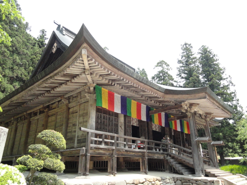 img0020.jpg
