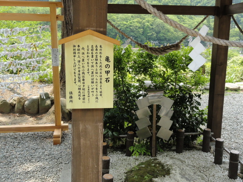 img0025.jpg