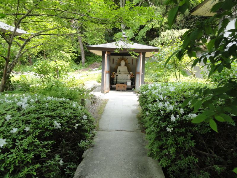 img0034.jpg