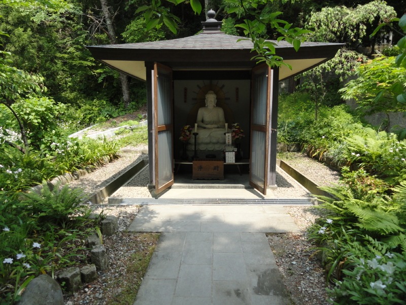 img0035.jpg