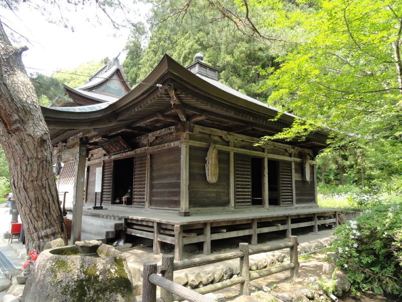 img0037.jpg