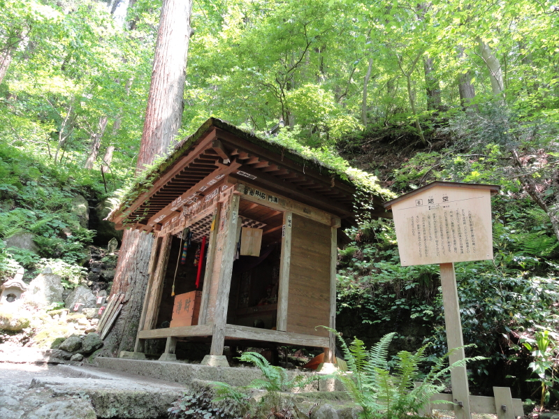 img0042.jpg