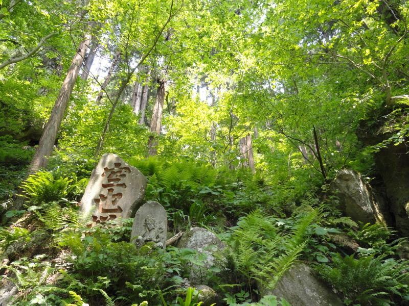 img0045.jpg