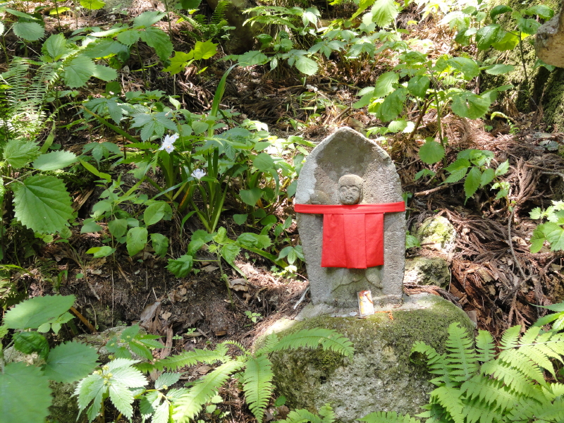 img0046.jpg