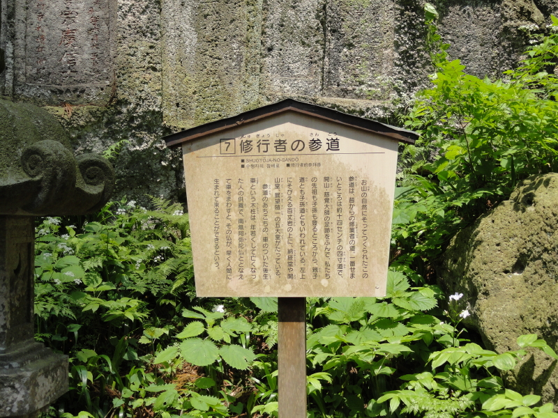 img0056.jpg