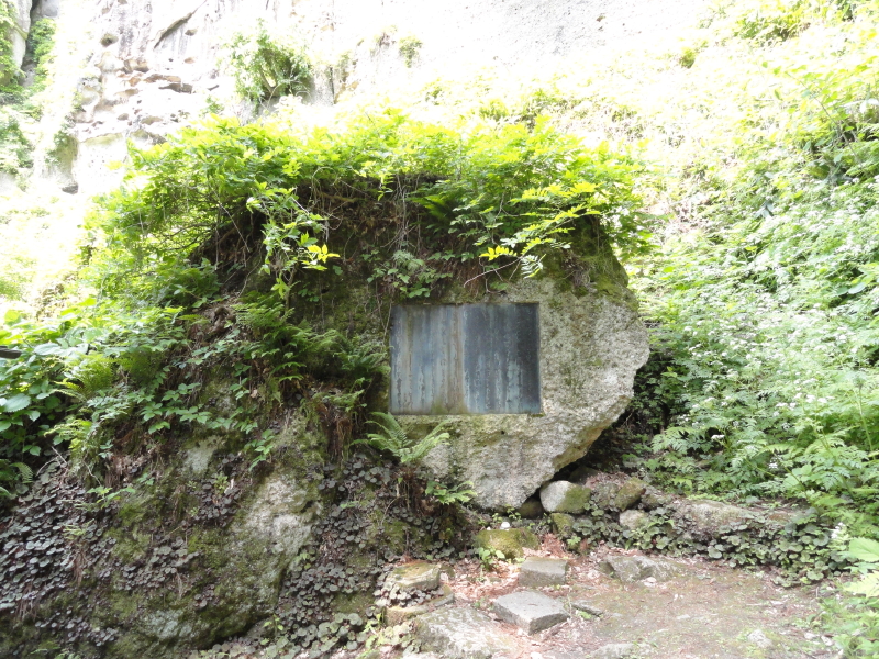 img0060.jpg