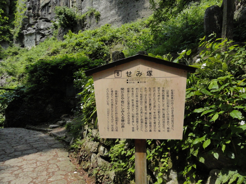 img0061.jpg
