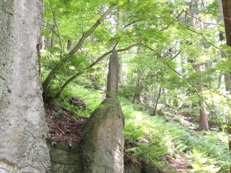 img0066.jpg