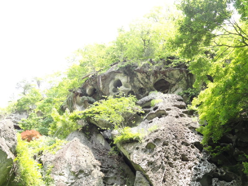 img0071.jpg