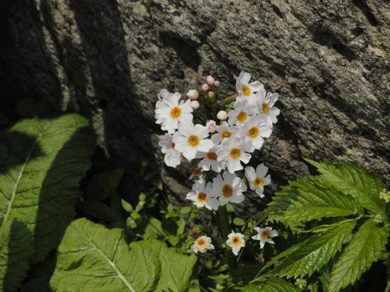 img0098.jpg