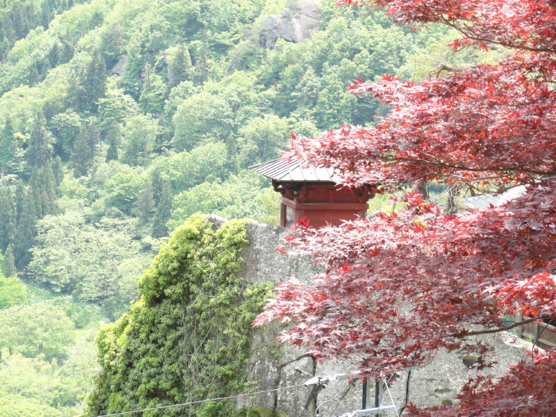 img0109.jpg