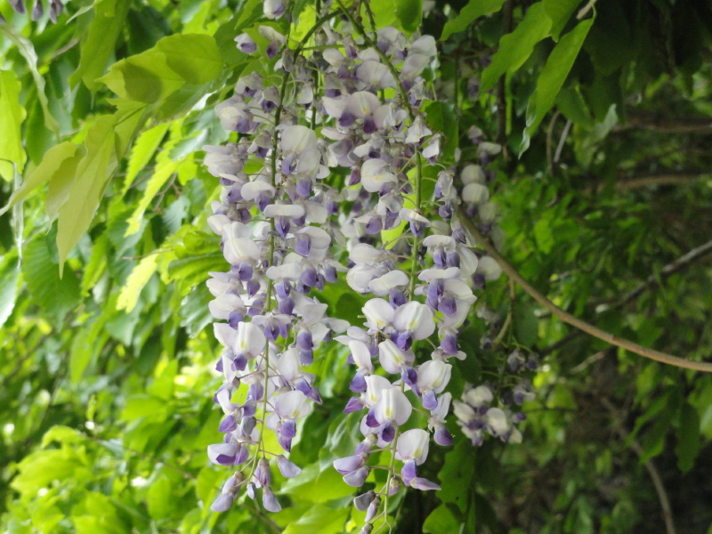 img0120.jpg