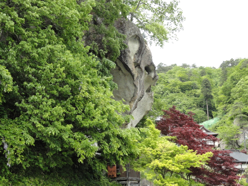 img0135.jpg