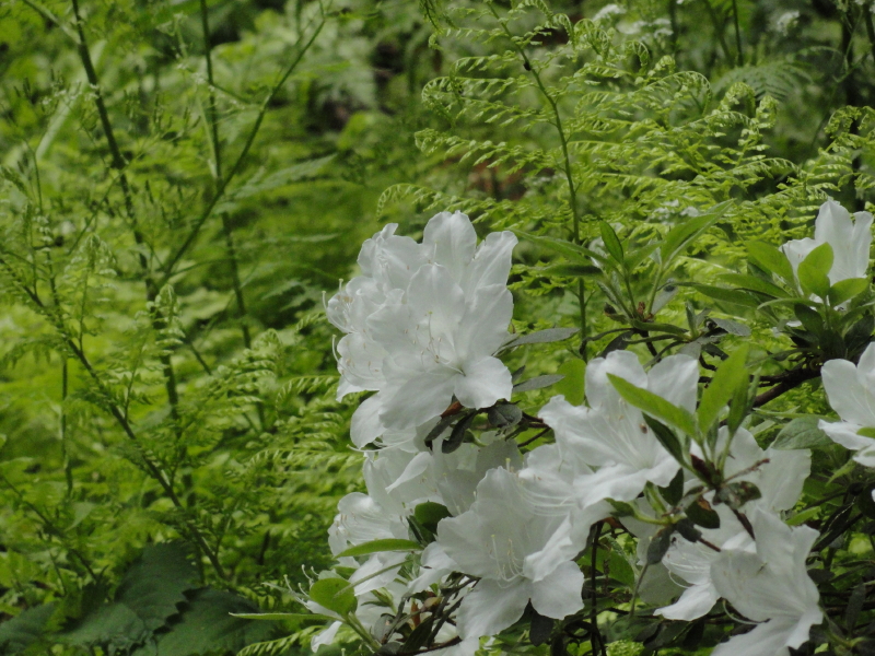img0149.jpg