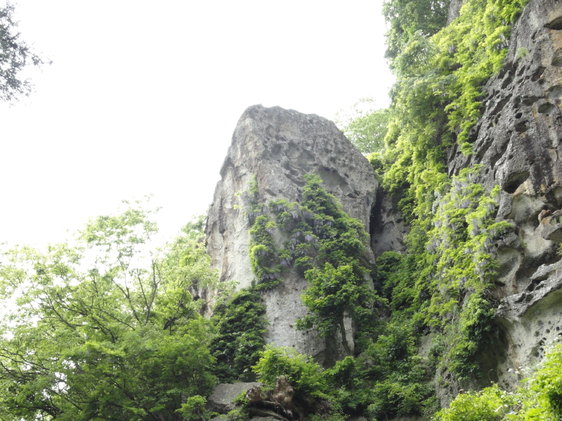 img0150.jpg