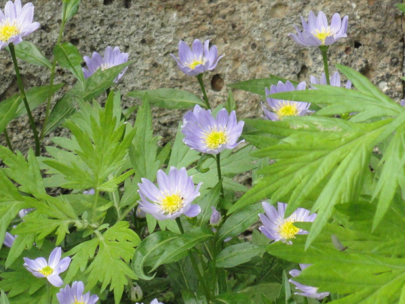 img0157.jpg