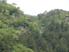 img0000.jpg