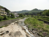 img0005.jpg