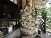 img0015.jpg