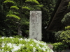 img0017.jpg