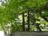 img0030.jpg