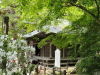 img0031.jpg