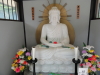 img0036.jpg