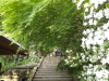 img0041.jpg