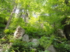 img0045.jpg