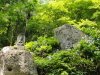 img0049.jpg