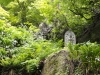img0050.jpg