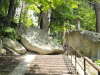 img0051.jpg