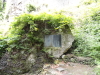 img0060.jpg