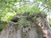 img0063.jpg