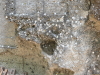 img0065.jpg