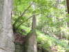 img0066.jpg