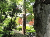 img0067.jpg