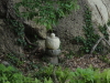 img0075.jpg